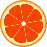 grapefruit for the dukan diet